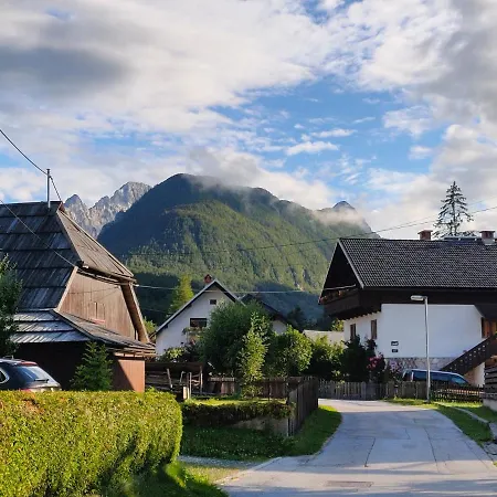 The House Vikendica *