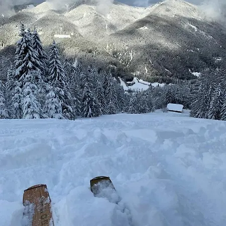 The House Сasa de vacaciones *