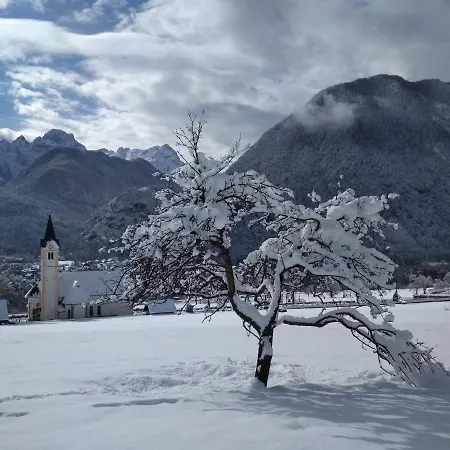 Holiday home The House Mojstrana