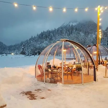 The House * Mojstrana