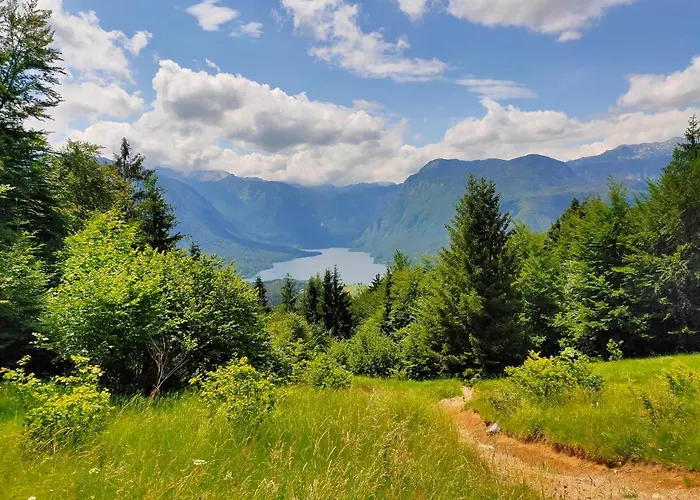 The House * Mojstrana